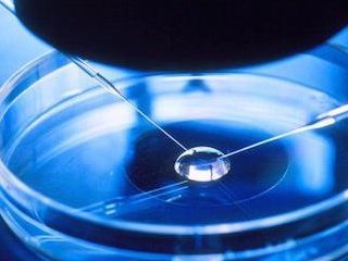 温州大型试管婴儿助孕机构有哪些？去这些医院准没错！