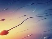 排卵期白带颜色发黄应引起关注吗